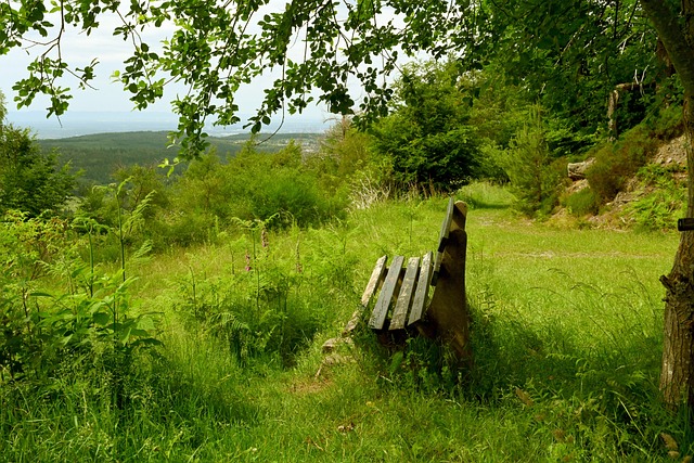 于一身的极 于一身的极