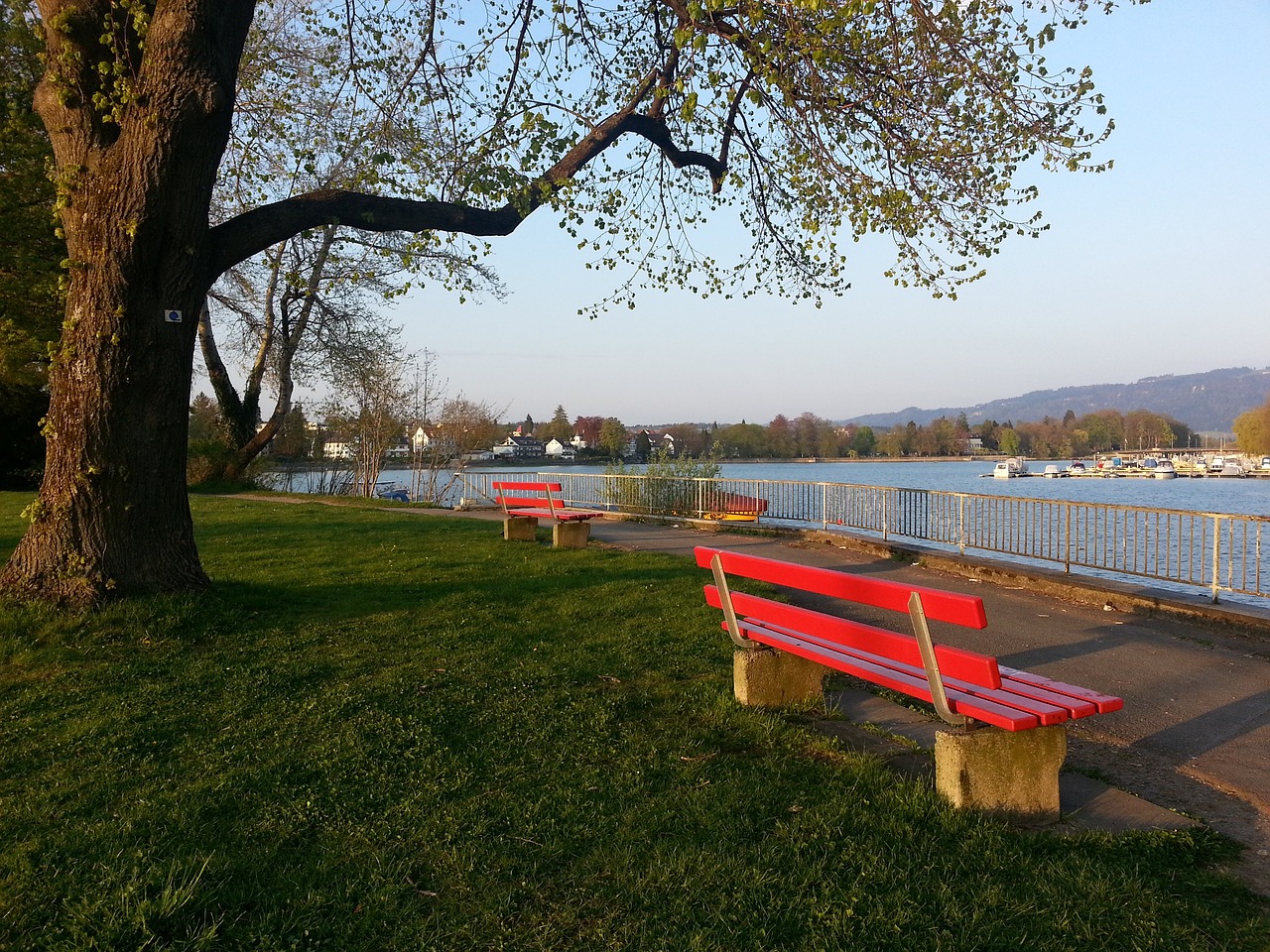 强的作风和 强的作风和